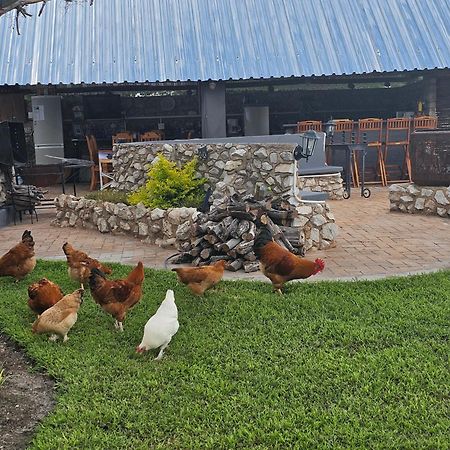 Tamboti Farm Accommodation ซูเมบ ภายนอก รูปภาพ