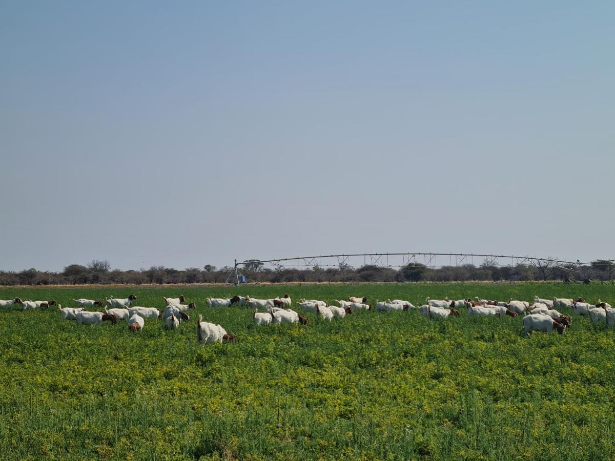 Tamboti Farm Accommodation ซูเมบ ภายนอก รูปภาพ