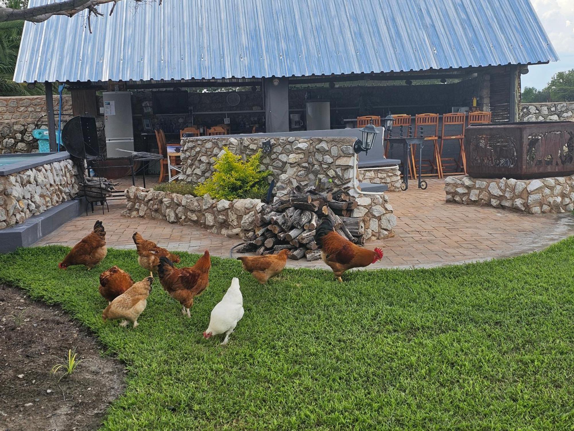 Tamboti Farm Accommodation ซูเมบ ภายนอก รูปภาพ